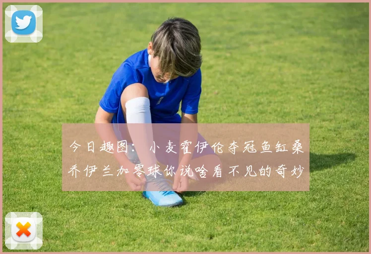 今日趣图：小麦霍伊伦夺冠鱼缸桑乔伊兰加零球你说啥看不见的奇妙瞬间